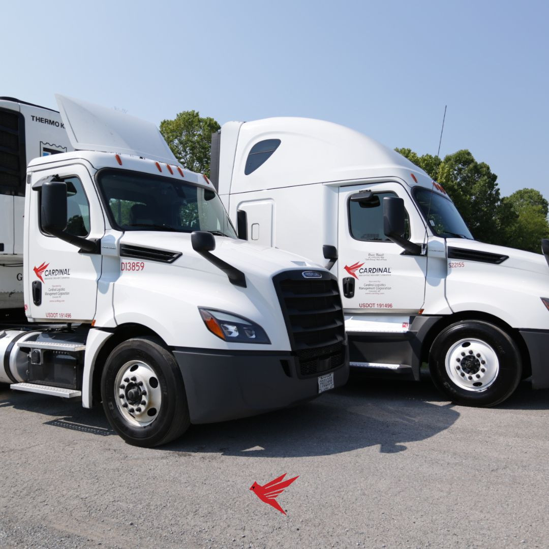 🚚🌟 Seeking Skilled Class A Truck Drivers in Lavonia, GA