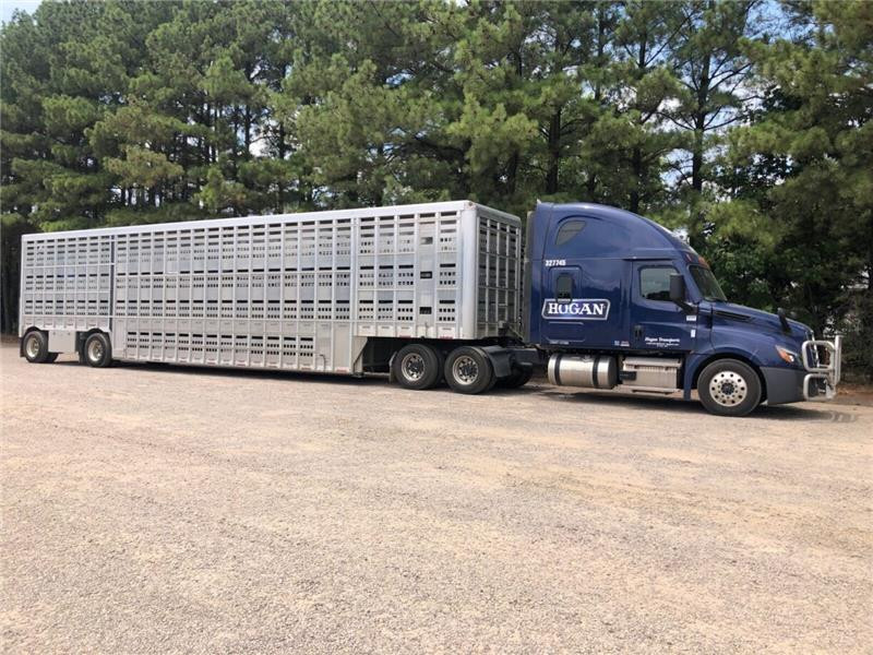 Dedicated CDL-A Truck Drivers - Earn $1,830 Weekly - transportation